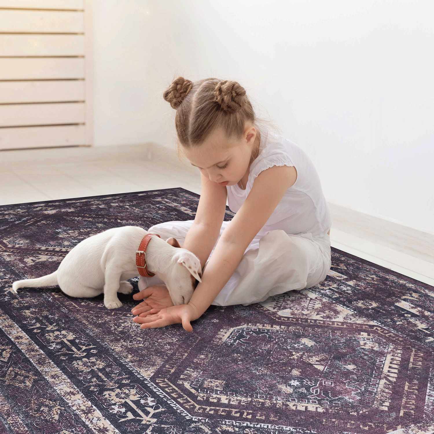 Naar Washable Area Rugs, Low-Pile, Non-Slip, Non-Shedding, Foldable, Kid & Pet Friendly
