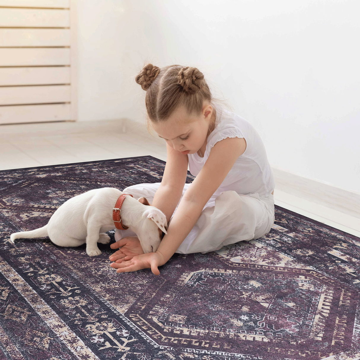 Naar Washable Area Rugs, Low-Pile, Non-Slip, Non-Shedding, Foldable, Kid & Pet Friendly