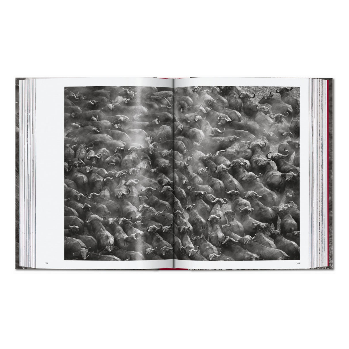 Sebastião Salgado. Genesis. 45th Ed. (English)