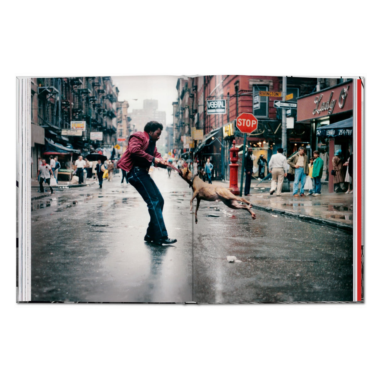 New York. Portrait of a City (English)
