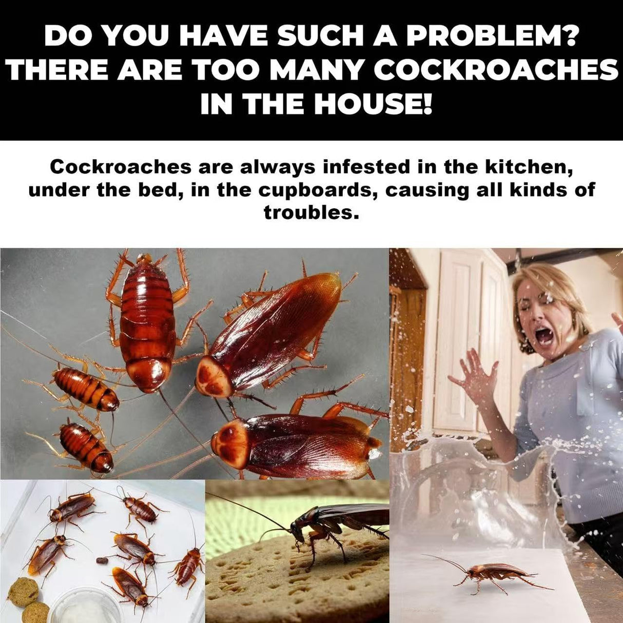 12Pcs In 1 Box, Roach Bait Gel Roach Traps Roach Repellent, Cockroach Killer Indoor Home For Small Large Cockroaches