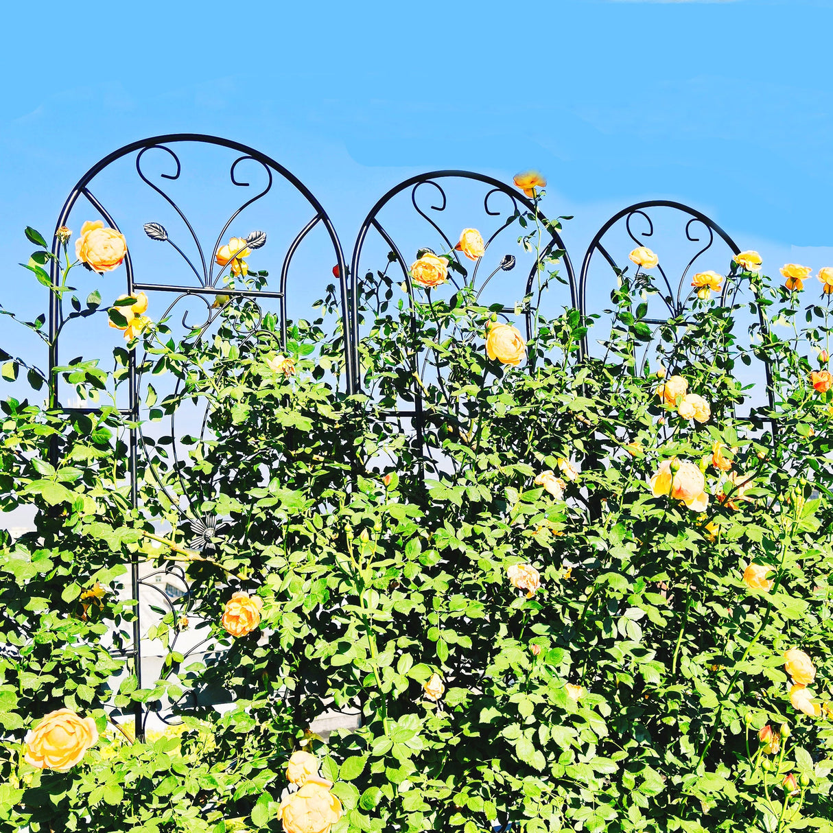 4 Pack Metal Garden Trellis