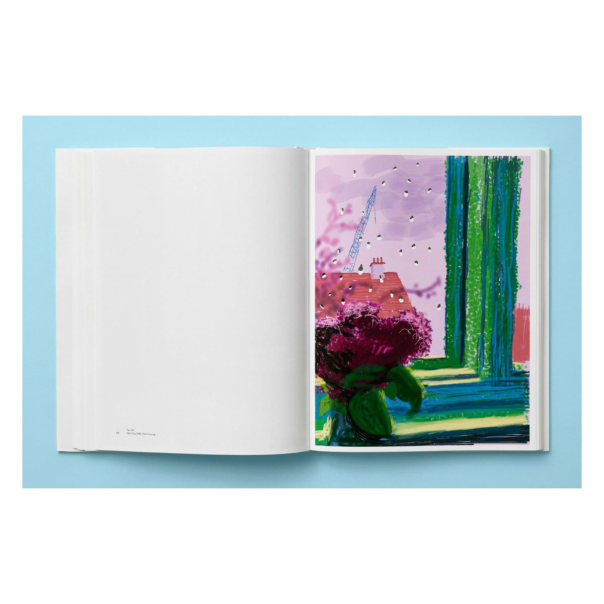 David Hockney. My Window (English)