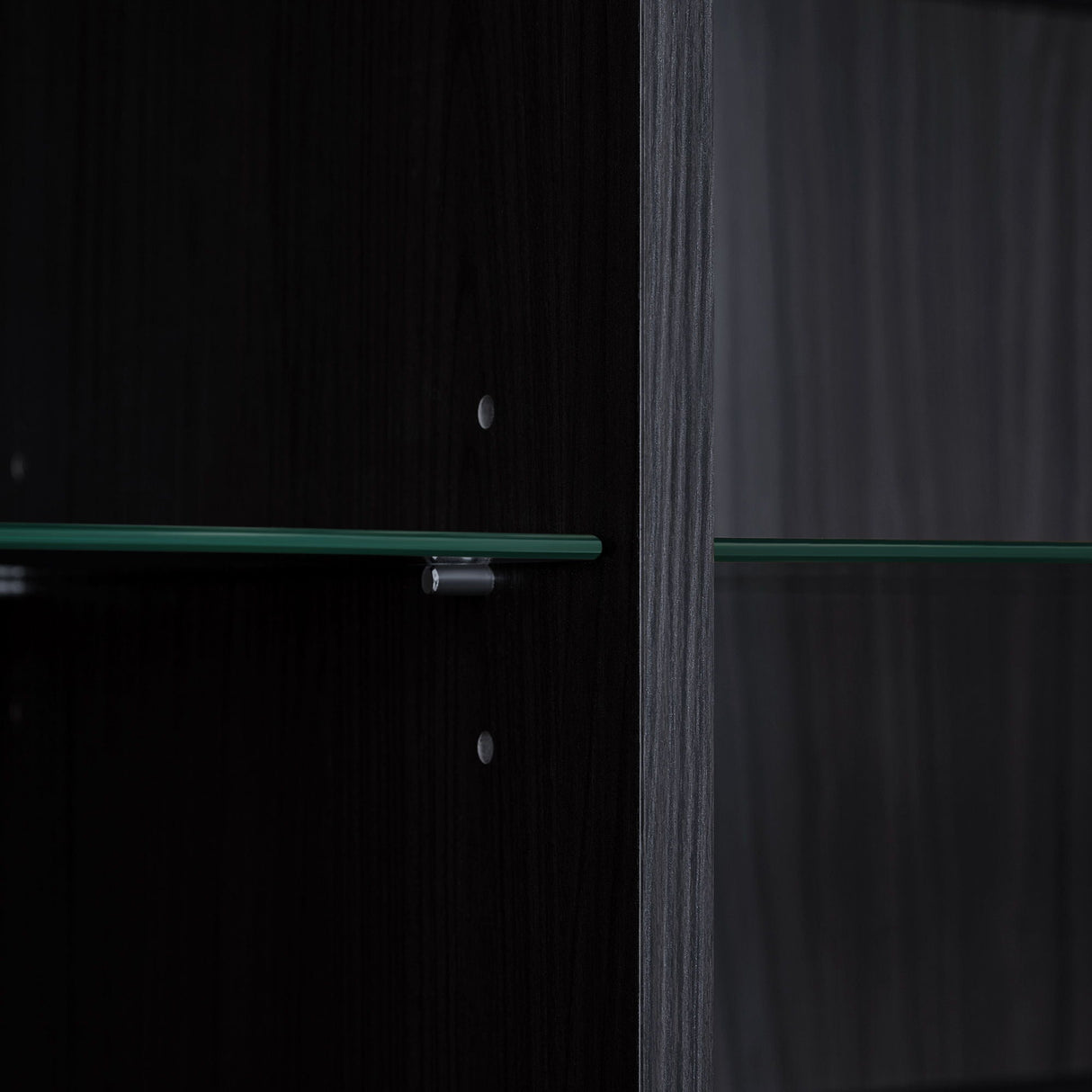 Modern Minimalist Style LED Curio Cabinet With Tempered Glass Door, Metal Legs