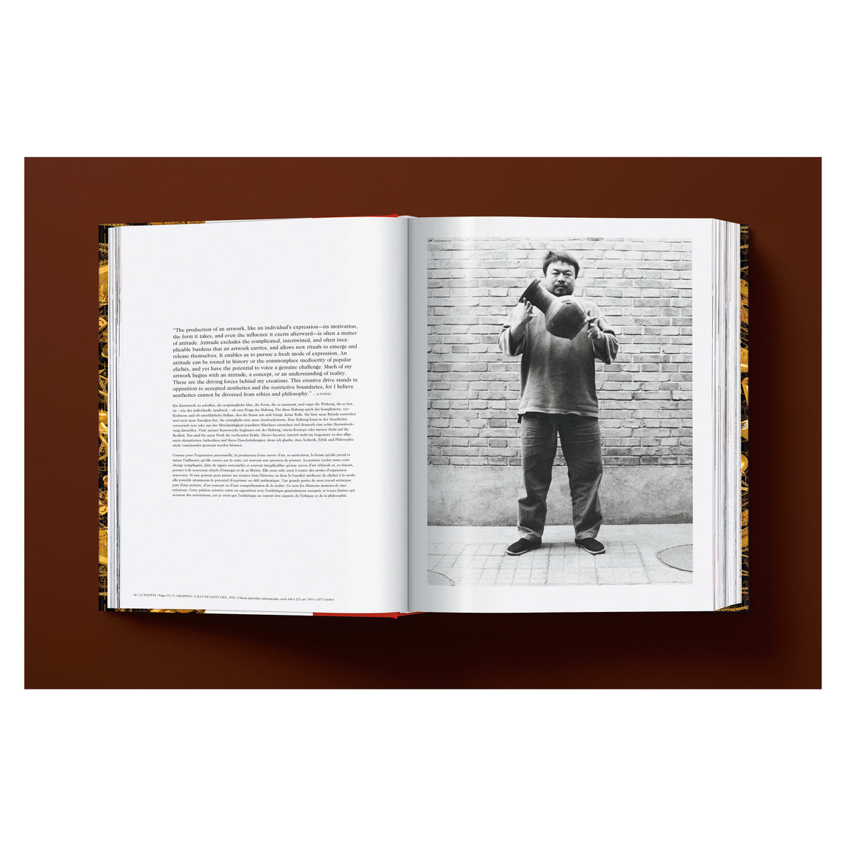 Ai Weiwei. Updated Edition (German, French, English)