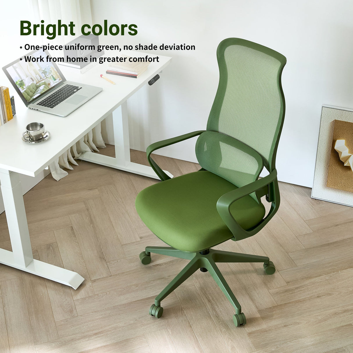 Ergonomic Colorful Office Chair