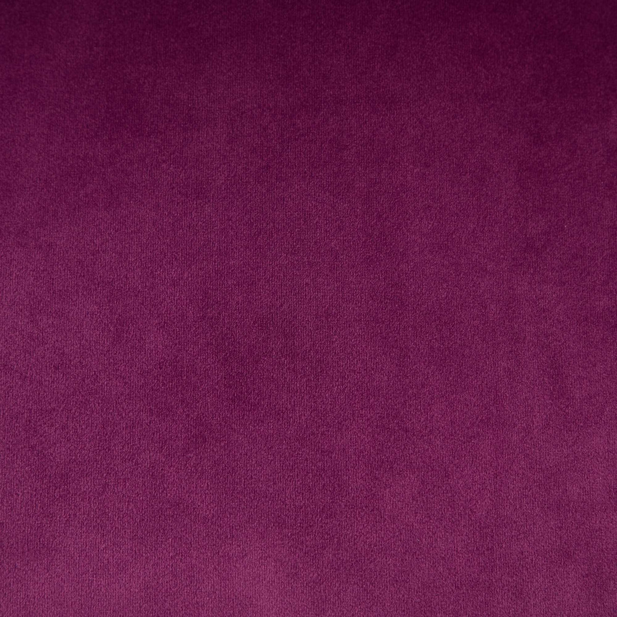 Office Chair Modern Velvet Upholstered Tufted Button (Purple)