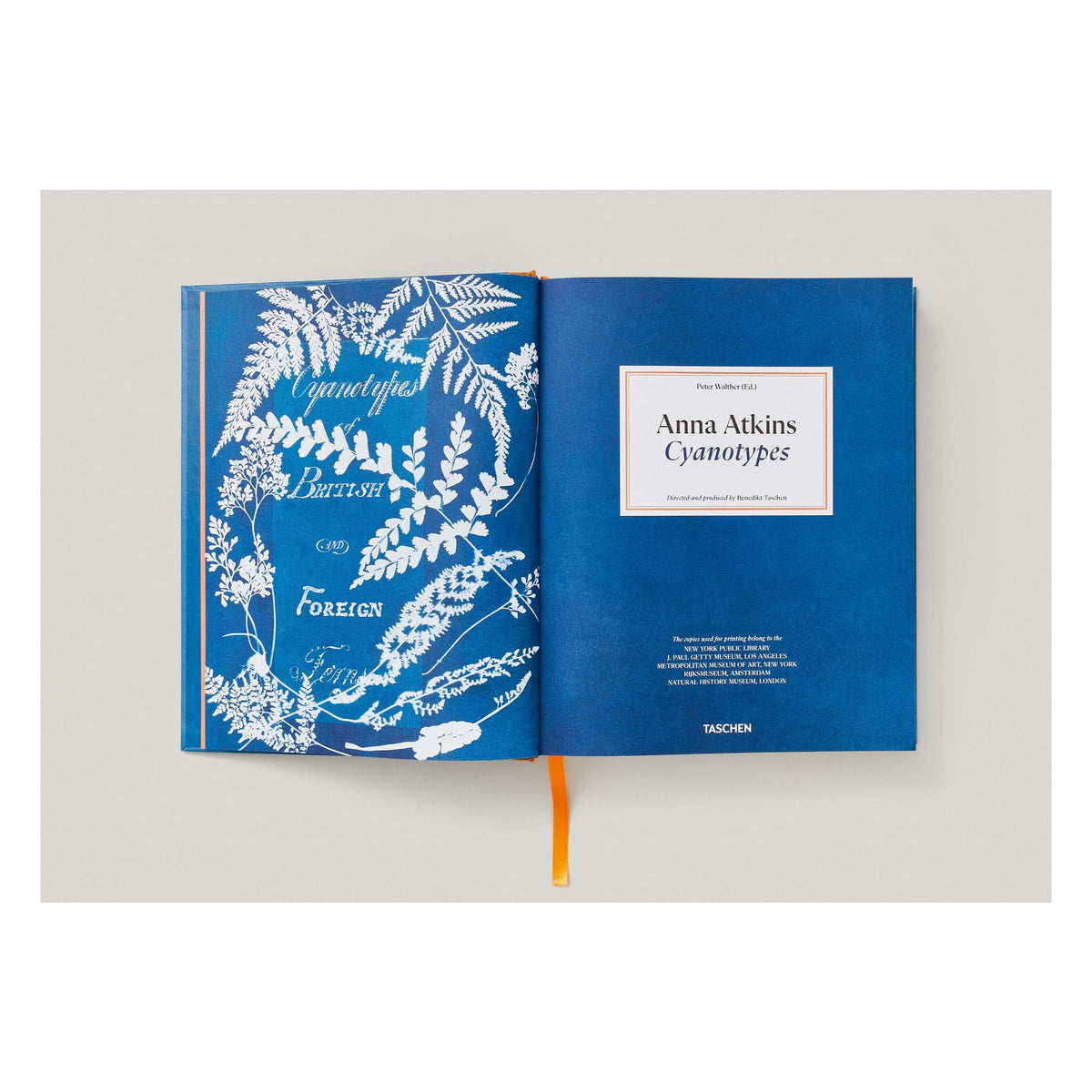 Anna Atkins. Cyanotypes (German, French, English) (FFE)