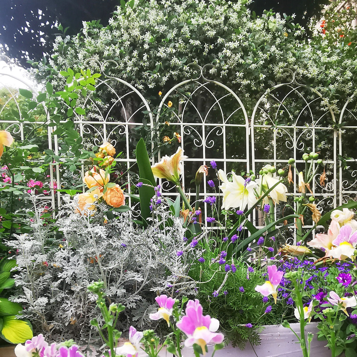 Metal Garden Rustproof Trellis For Climbing Plants Outdoor Flower Support