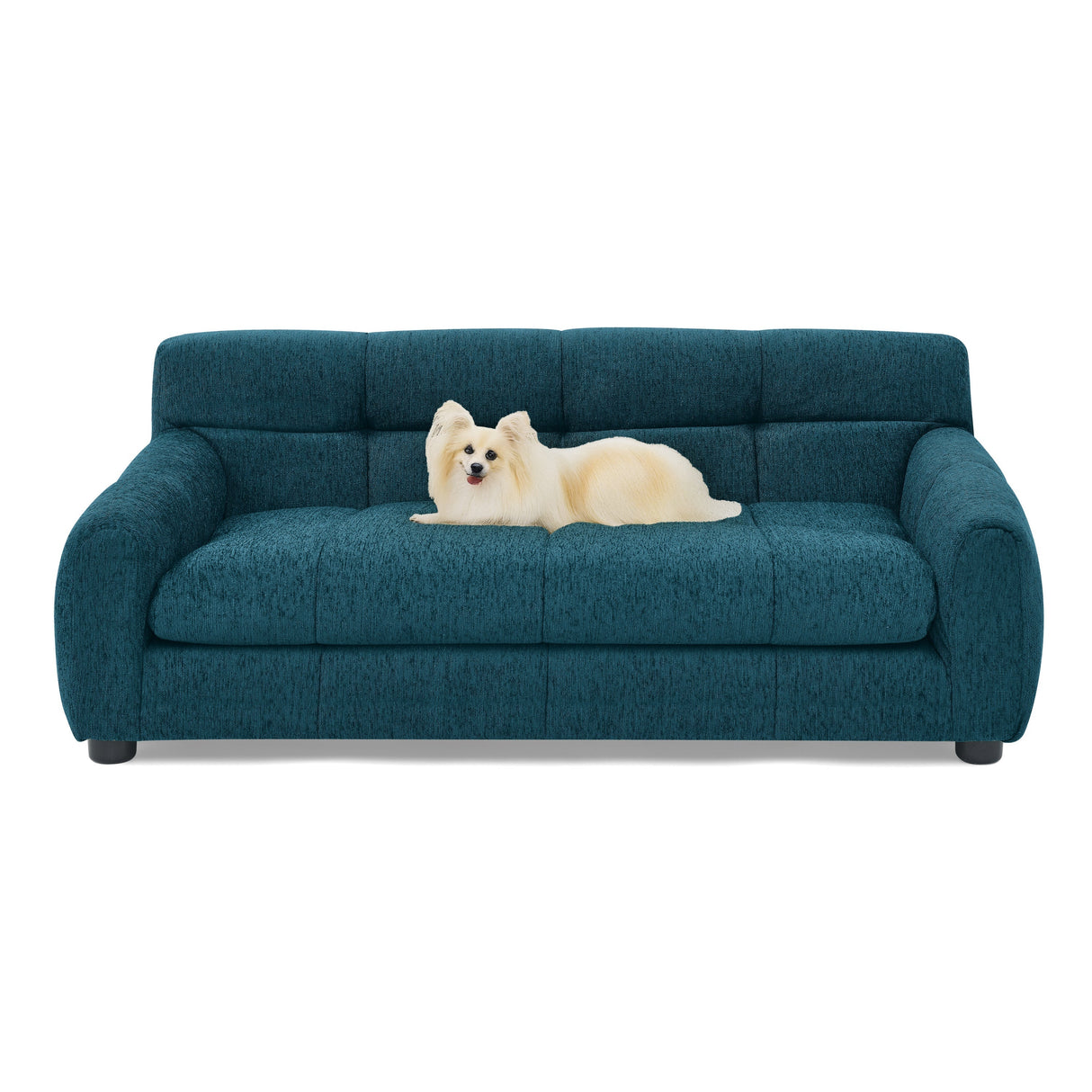 Soft Comfortable Pet Sofa with Backrest and Armrests in Blue