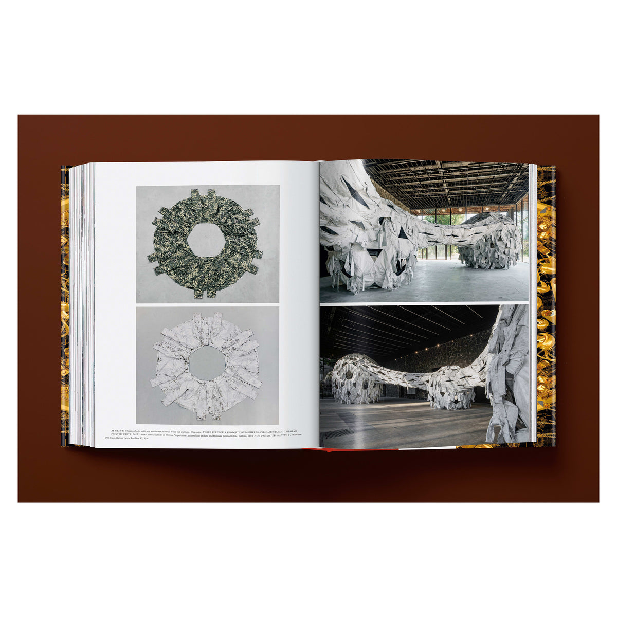 Ai Weiwei. Updated Edition (German, French, English)