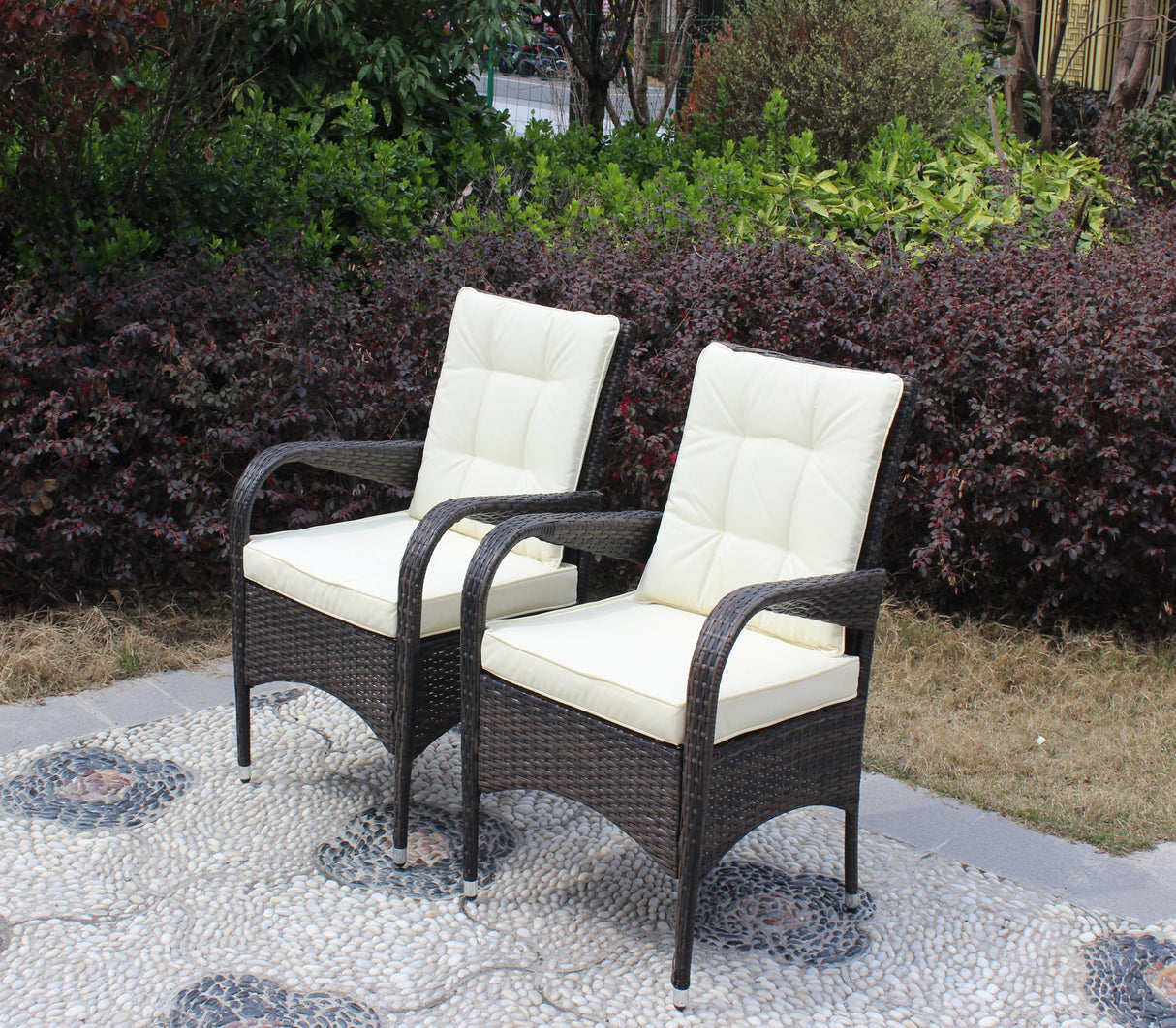 2-Piece Liberatore Dining Chairs with Beige Cushions