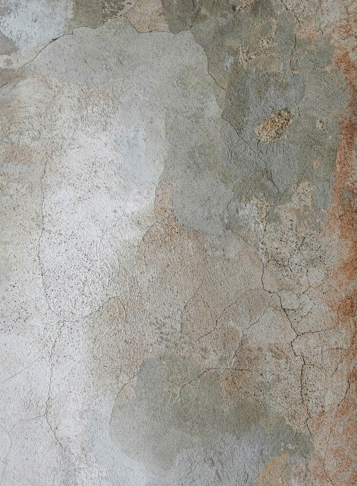 Artistic Collection Area Rug