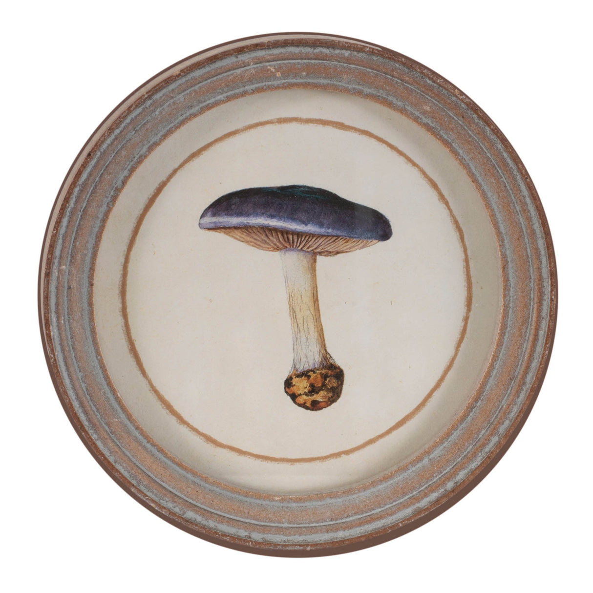 Framed Mushroom Print (Set of 4)