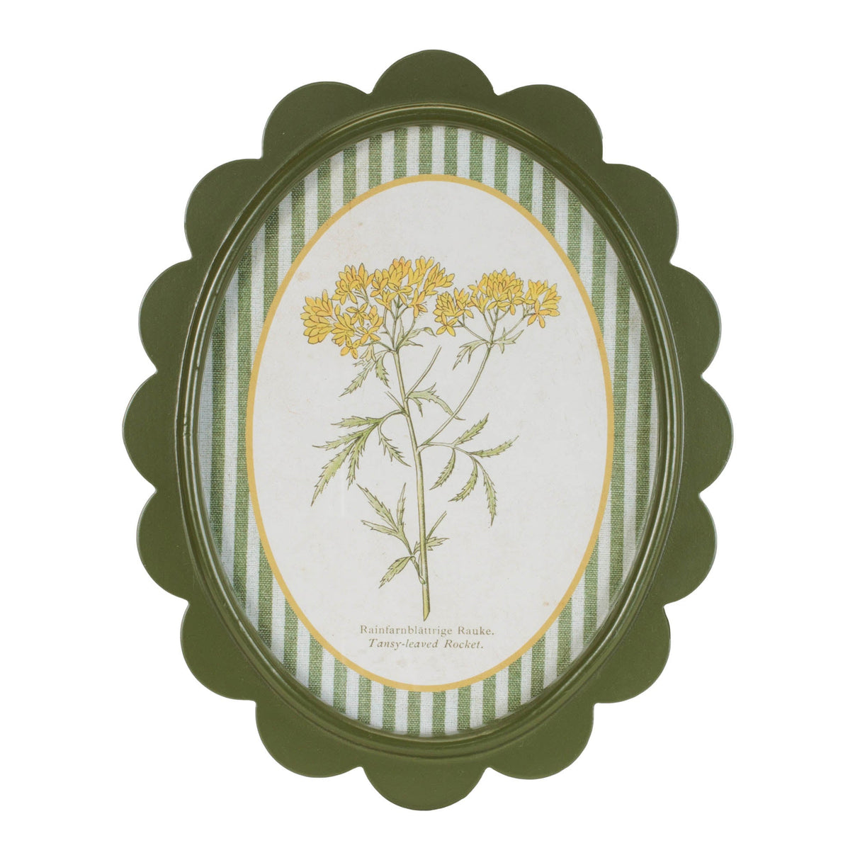 Framed Encyclopedia Flower Print (Set of 3)