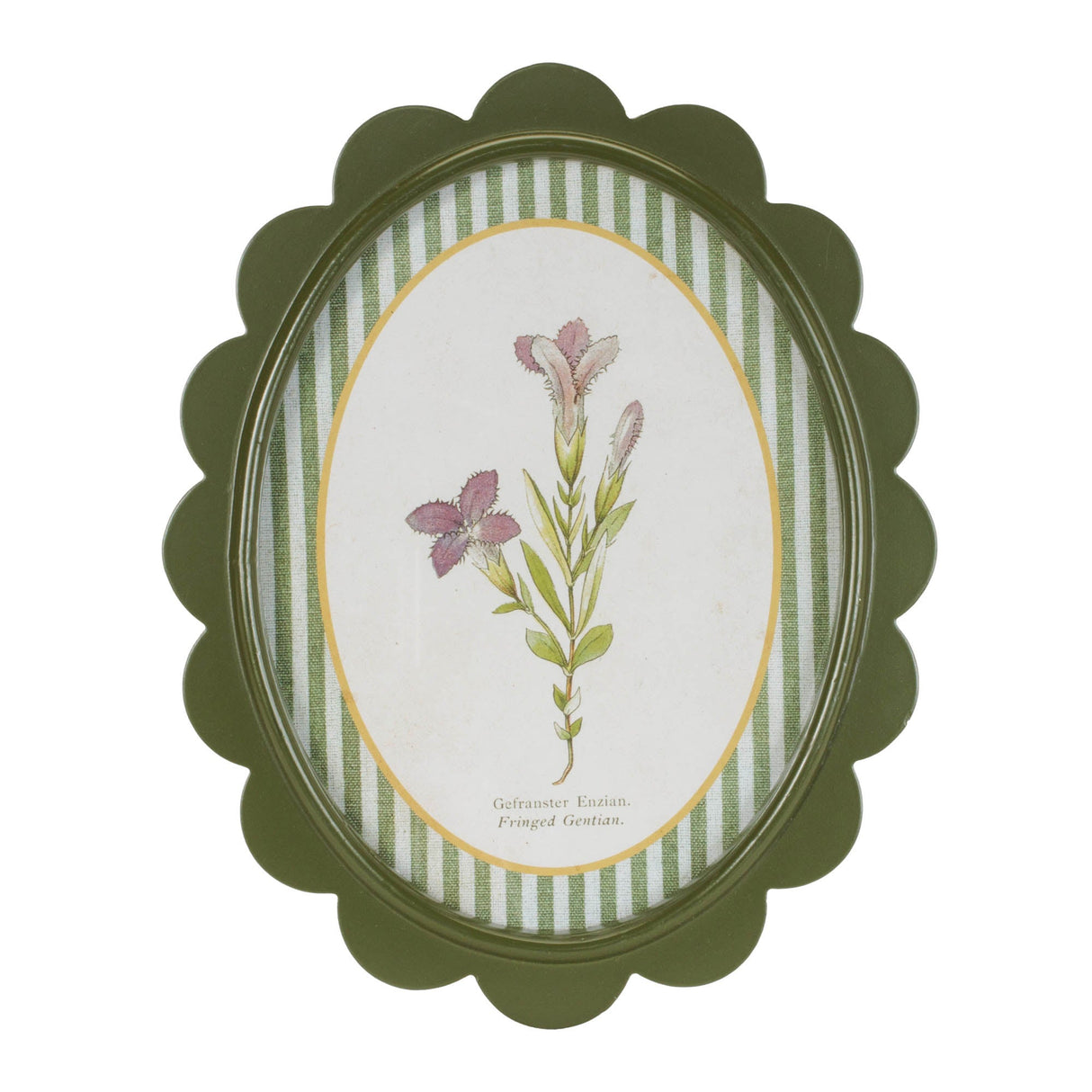 Framed Encyclopedia Flower Print (Set of 3)