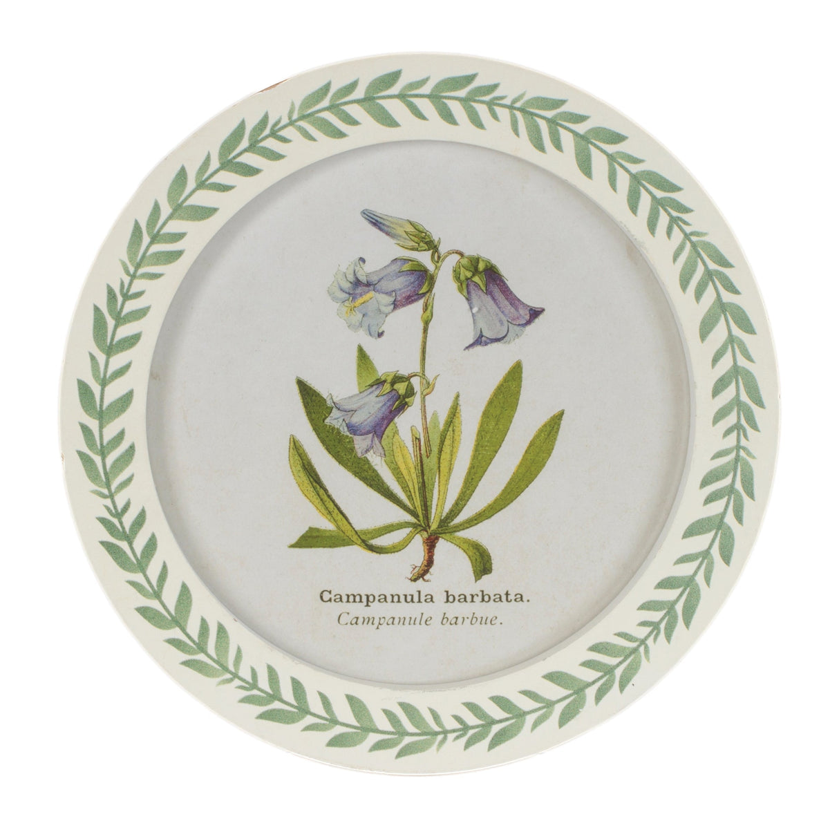 Round Framed Encyclopedia Floral Print (Set of 6)