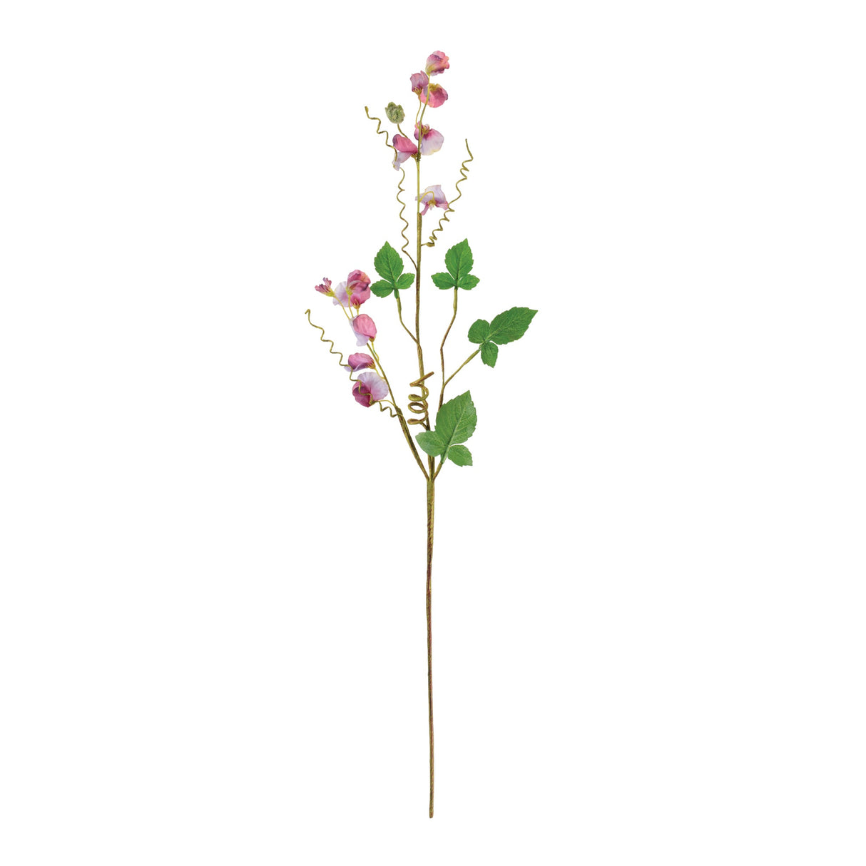 Sweet Pea Floral Spray (Set of 6)