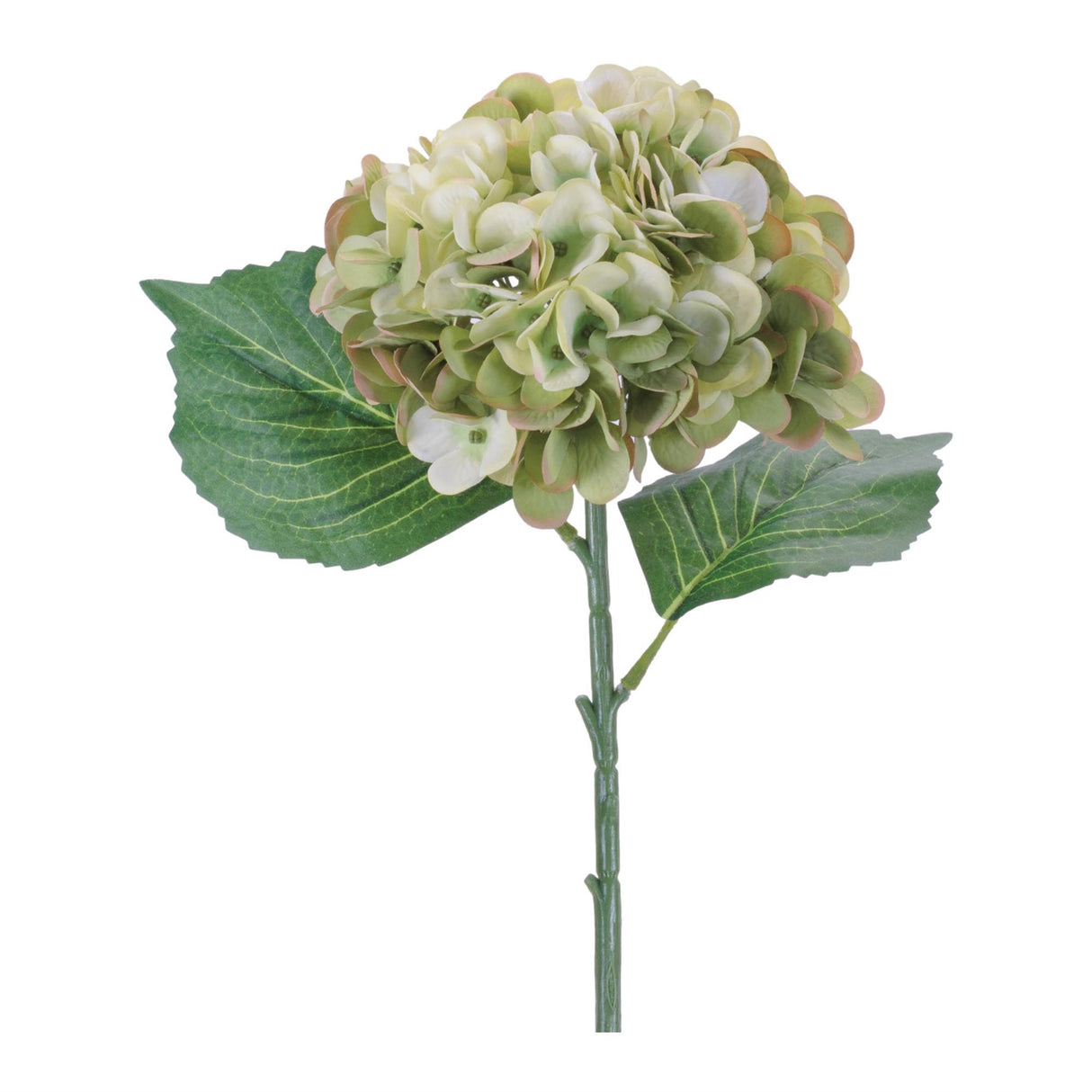 Hydrangea Flower Stem (Set of 4