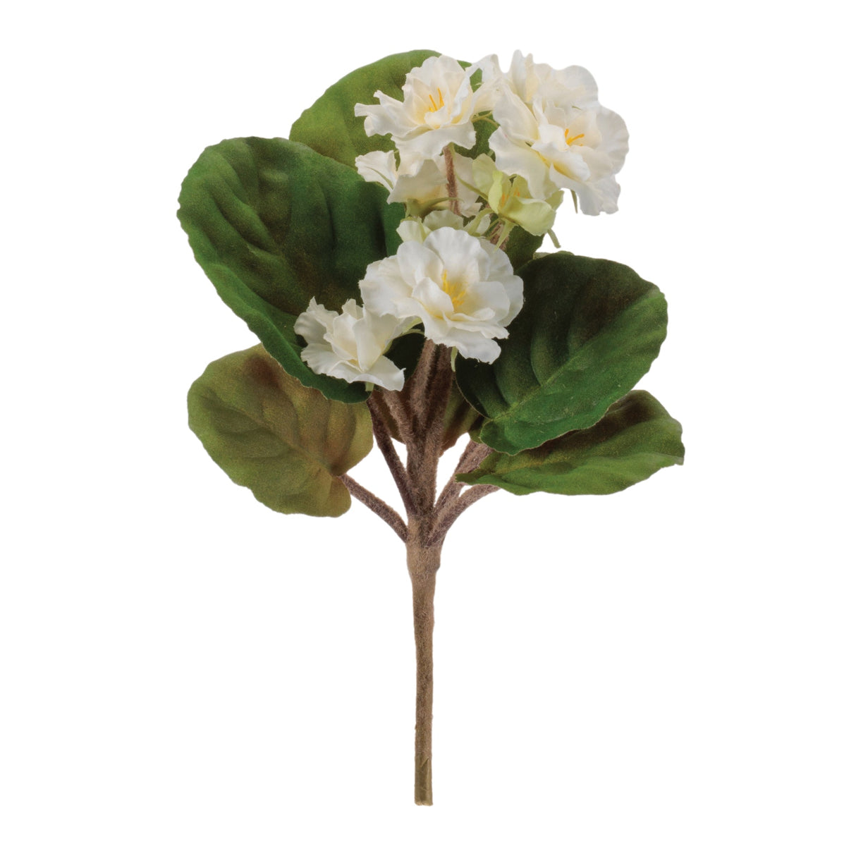 African Violet Flower Bush (Set of 4)