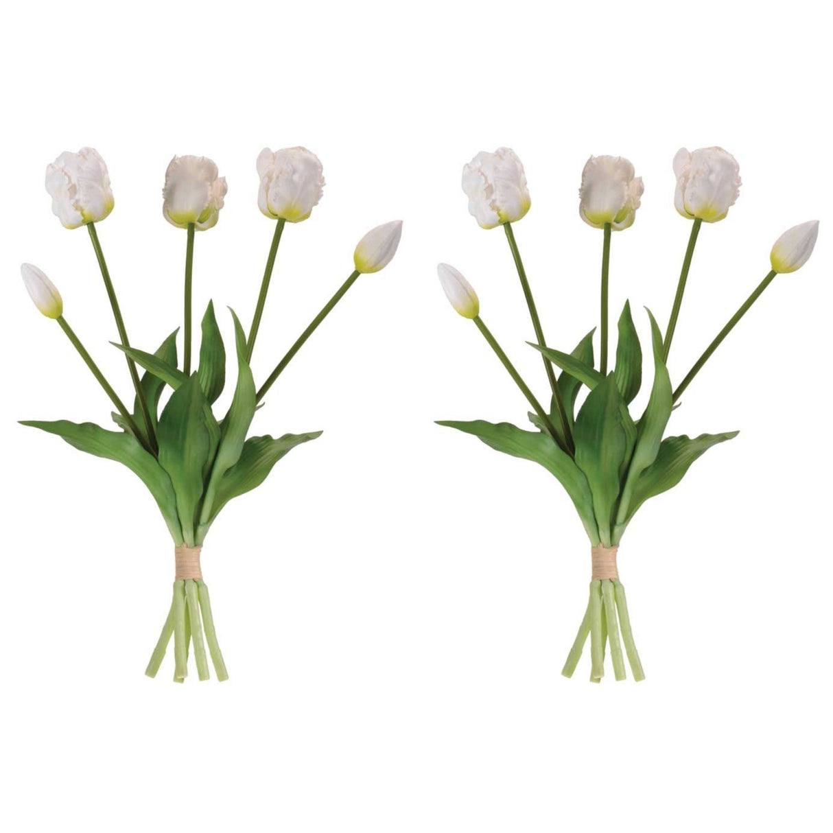 Tulip Floral Bundle (Set of 2)