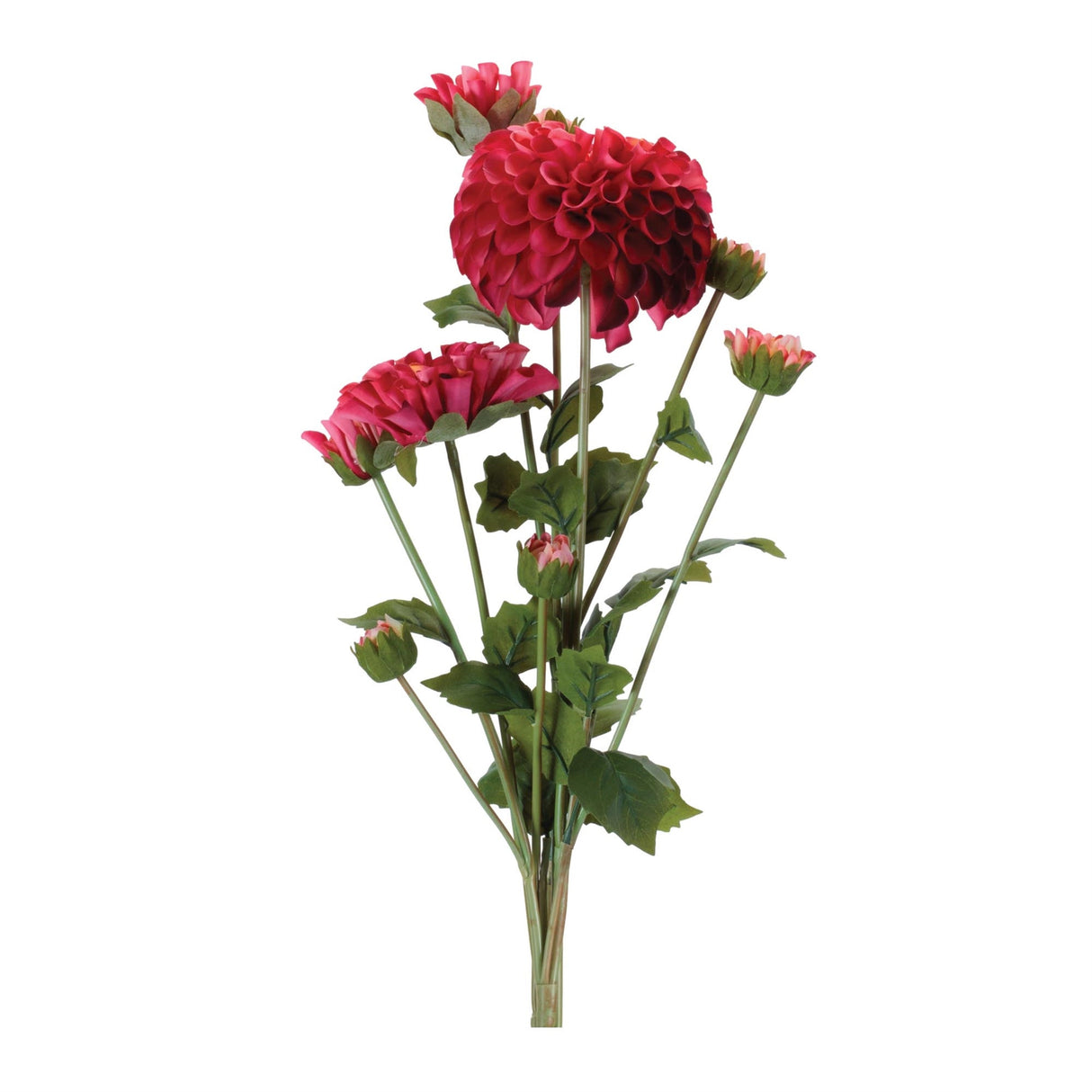 Zinnia Flower Bundle Set - 2