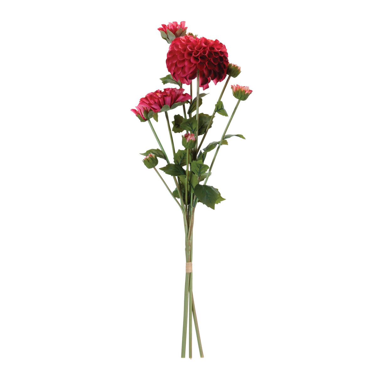 Zinnia Flower Bundle Set - 2