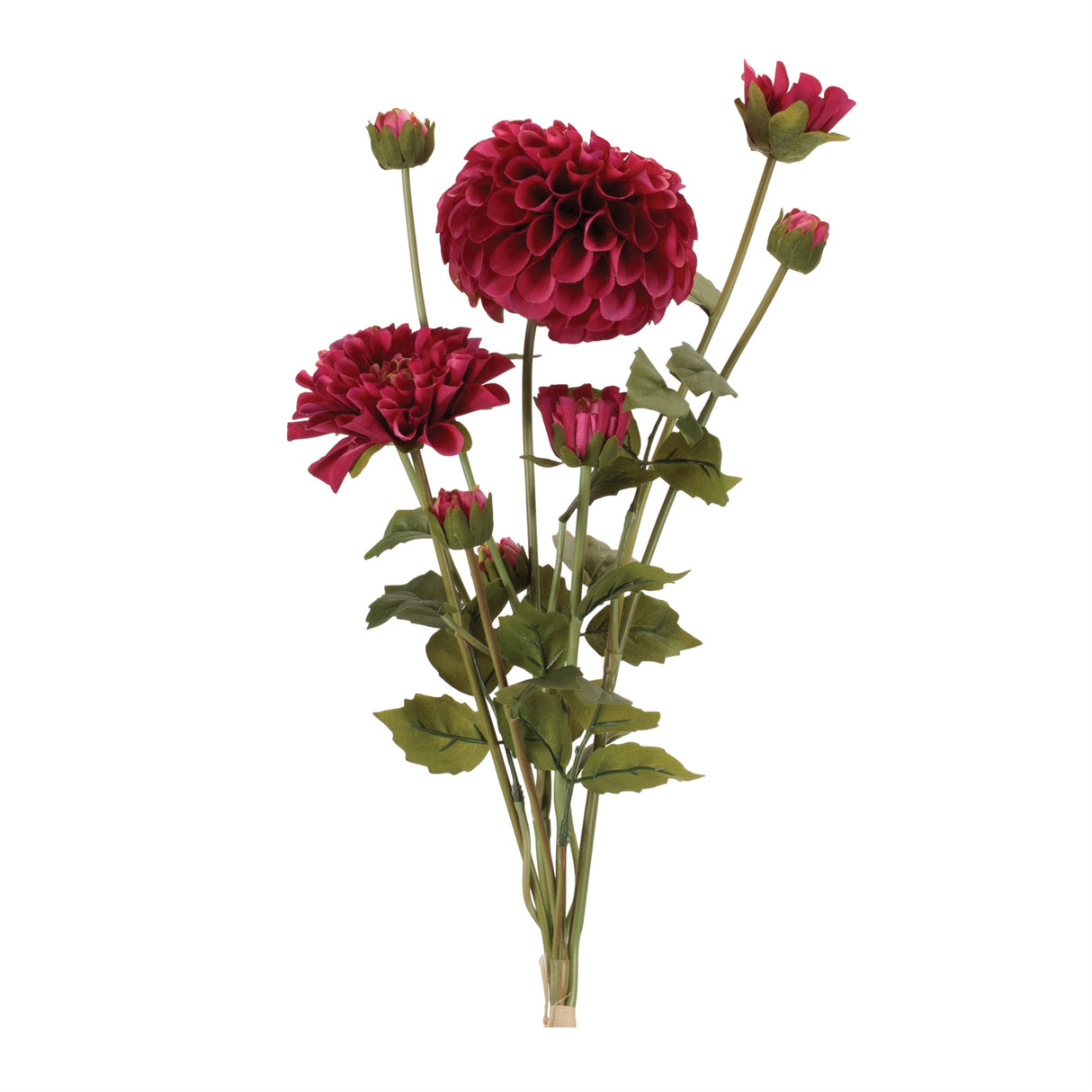 Zinnia Flower Bundle Set 2