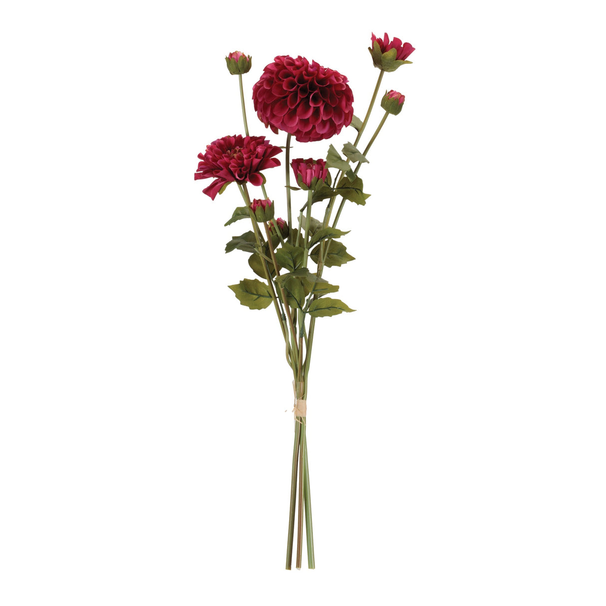 Zinnia Flower Bundle Set 2