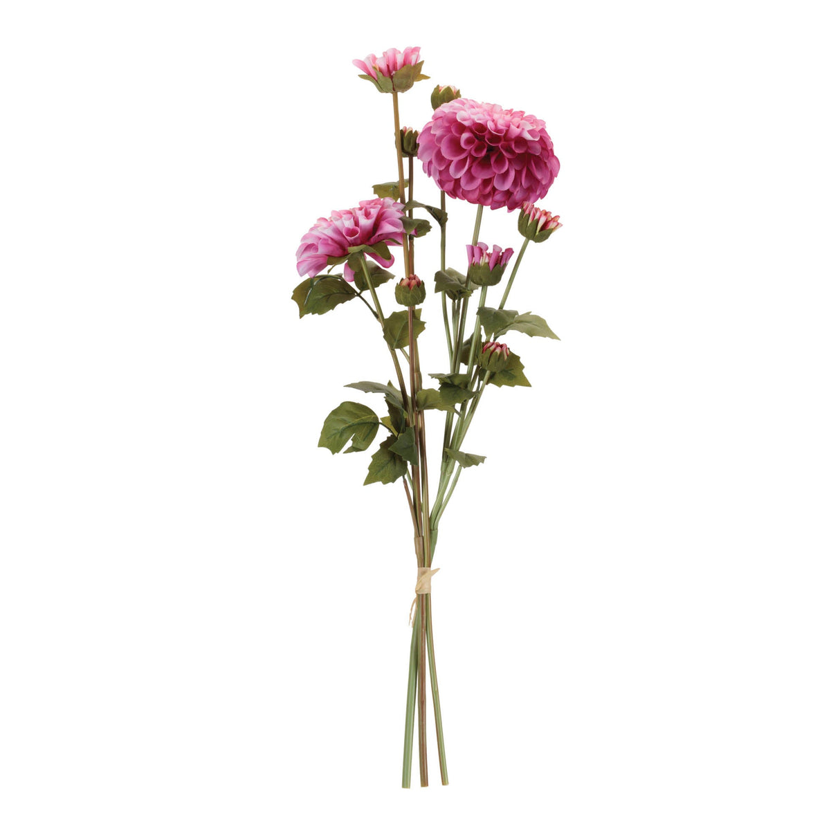 Zinnia Flower Bundle (Set 2)