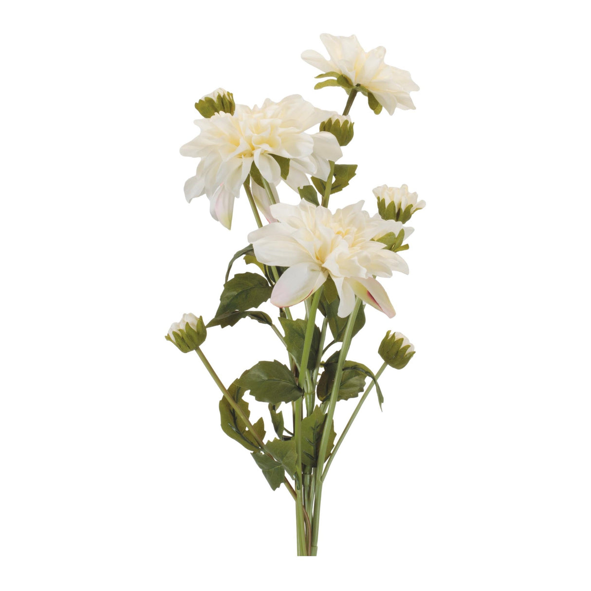 Dahlia Flower Bundle Set of 2