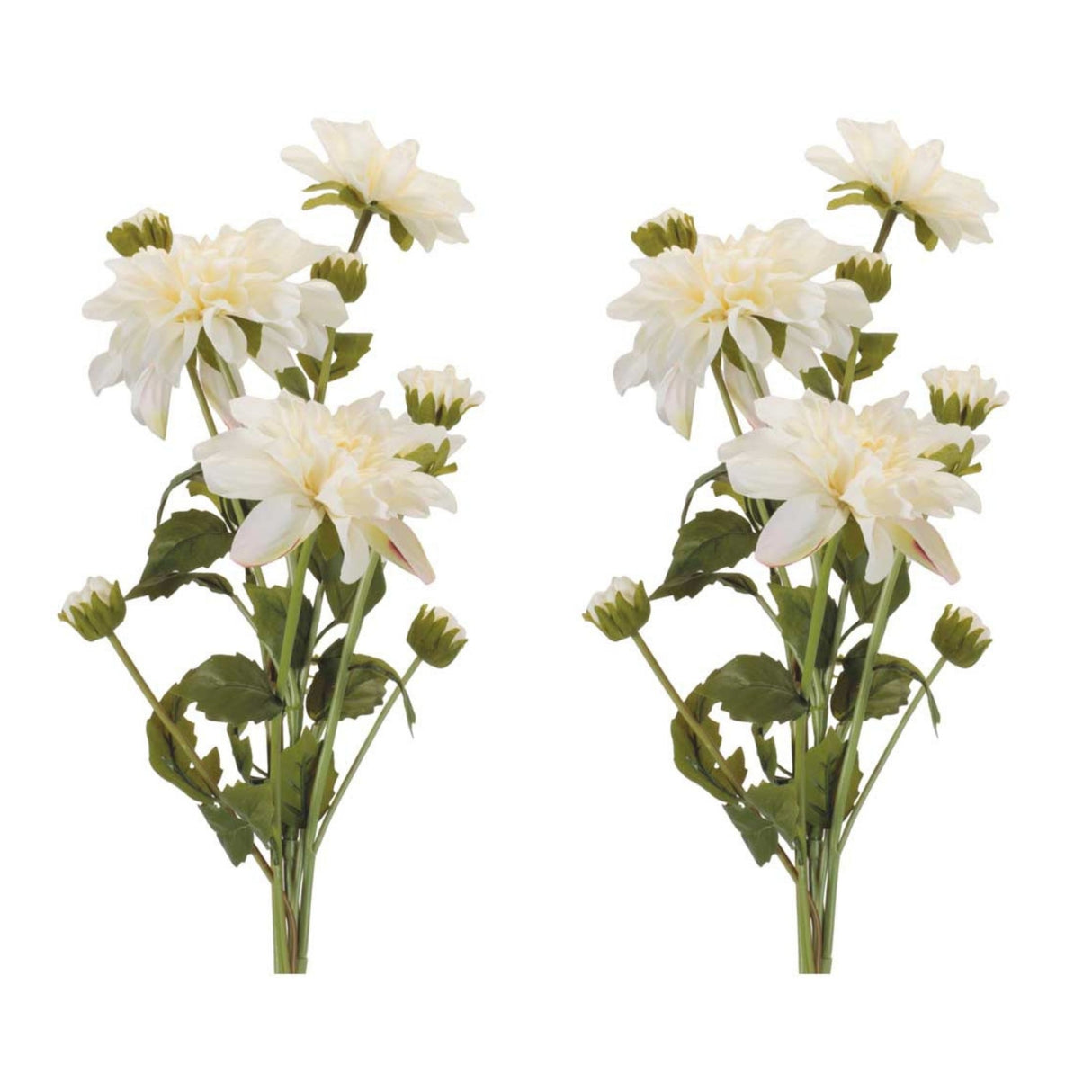 Dahlia Flower Bundle Set of 2