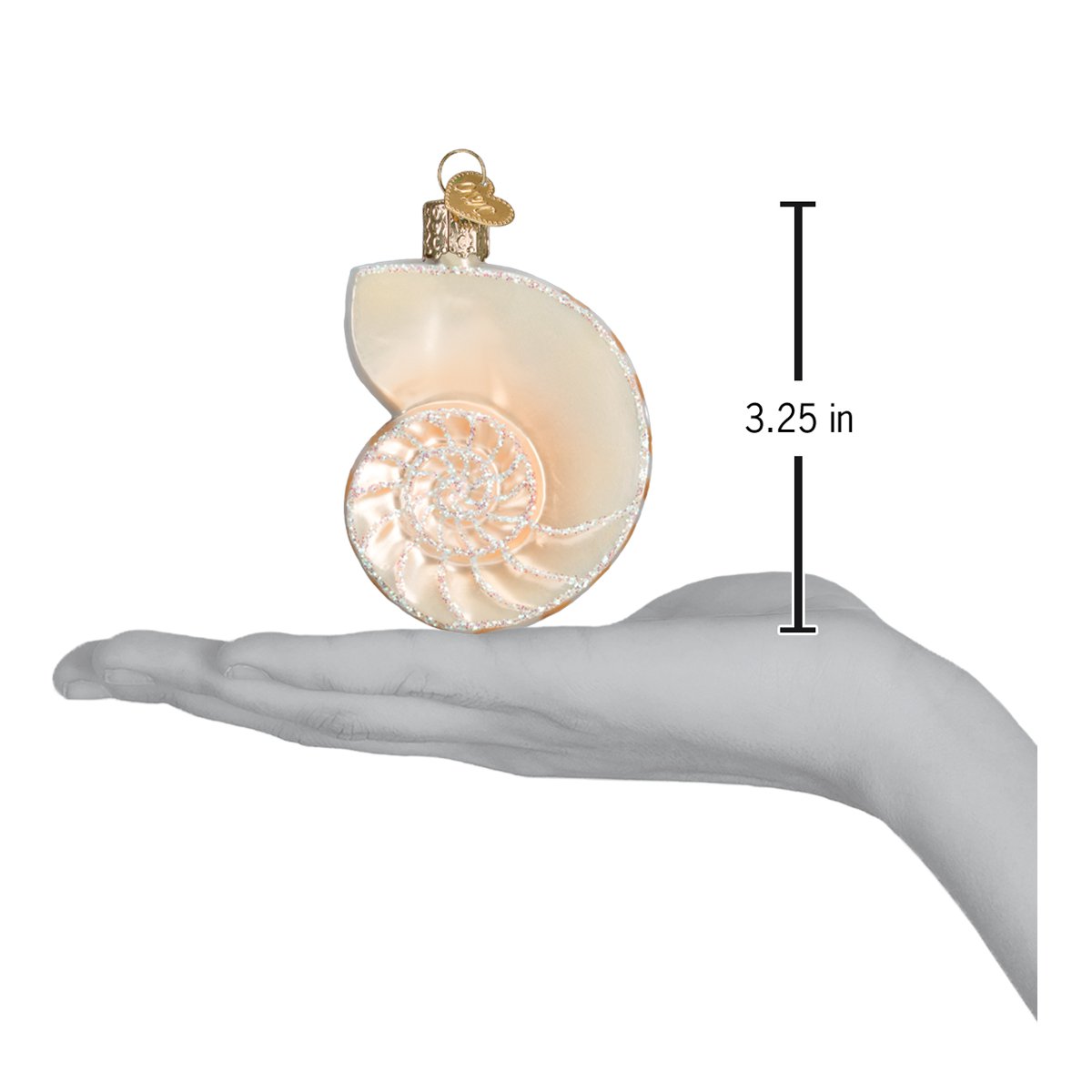 Nautilus Shell Ornament 3.25 x 3 x 3.25
