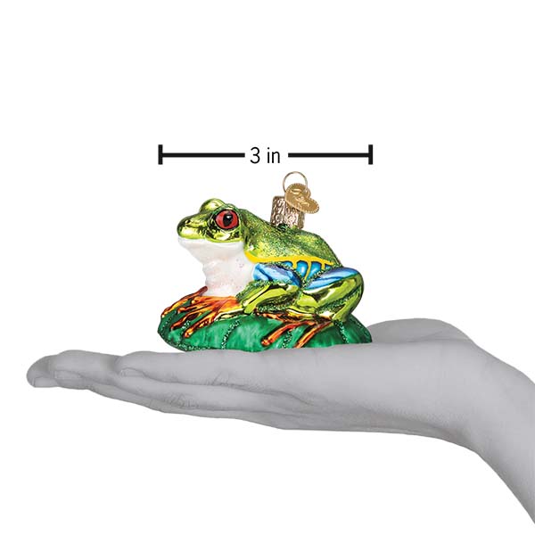 Red-Eyed Tree Frog Ornament