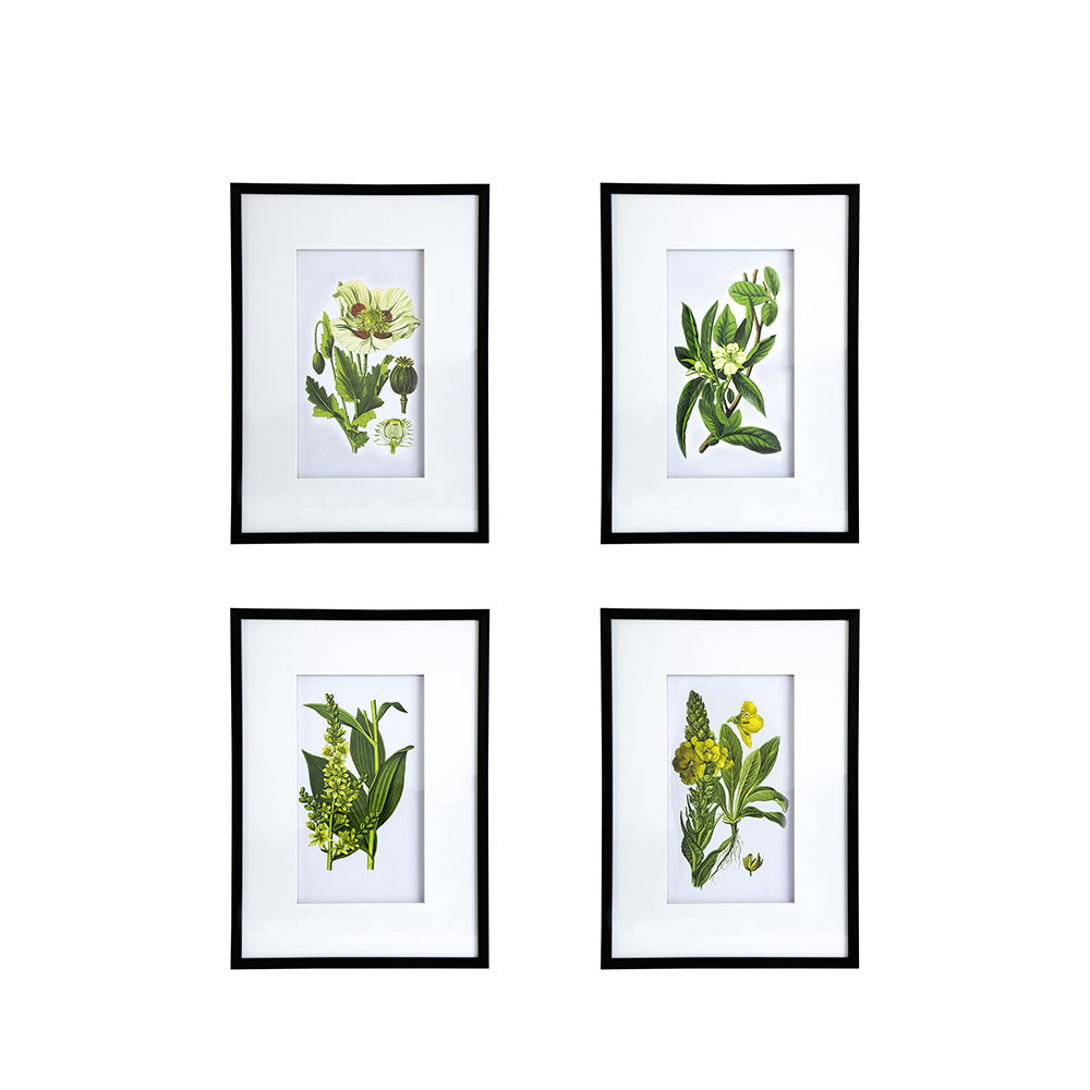 Botanical Flower Wall Art, Home Decor For Living Room Dining Room, Bedroom, Hallway (Set of 4) - White / Blue
