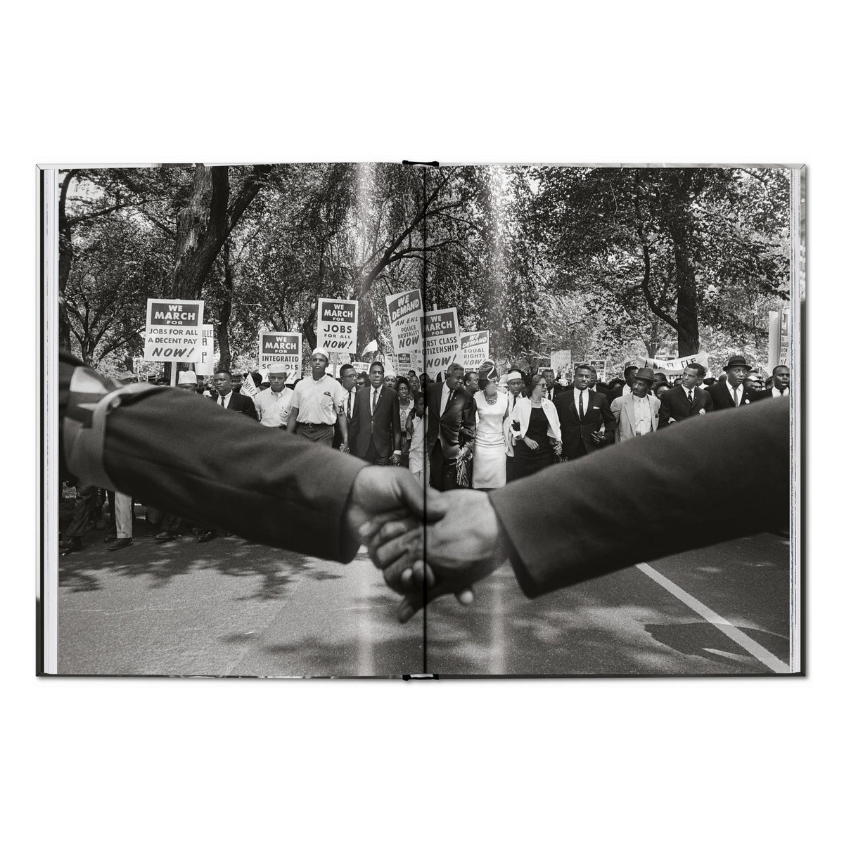 James Baldwin. Steve Schapiro. The Fire Next Time (English)