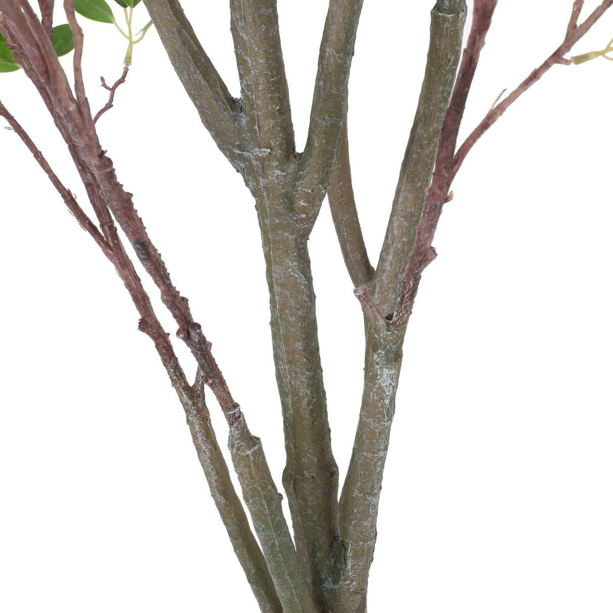 150CM ARTIFICIAL MILAN LEAF BONSAI - Tuesday Morning - Faux Trees