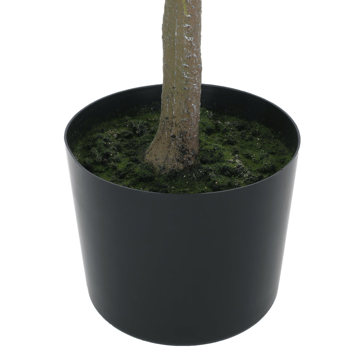 150CM ARTIFICIAL MILAN LEAF BONSAI - Tuesday Morning - Faux Trees