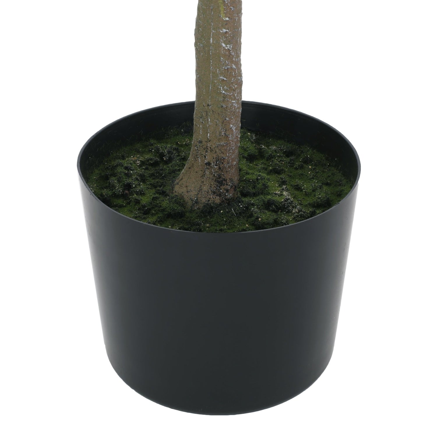 150CM ARTIFICIAL MILAN LEAF BONSAI - Tuesday Morning - Faux Trees