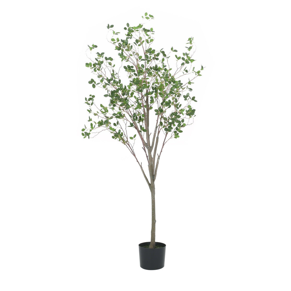150CM ARTIFICIAL MILAN LEAF BONSAI - Tuesday Morning - Faux Trees