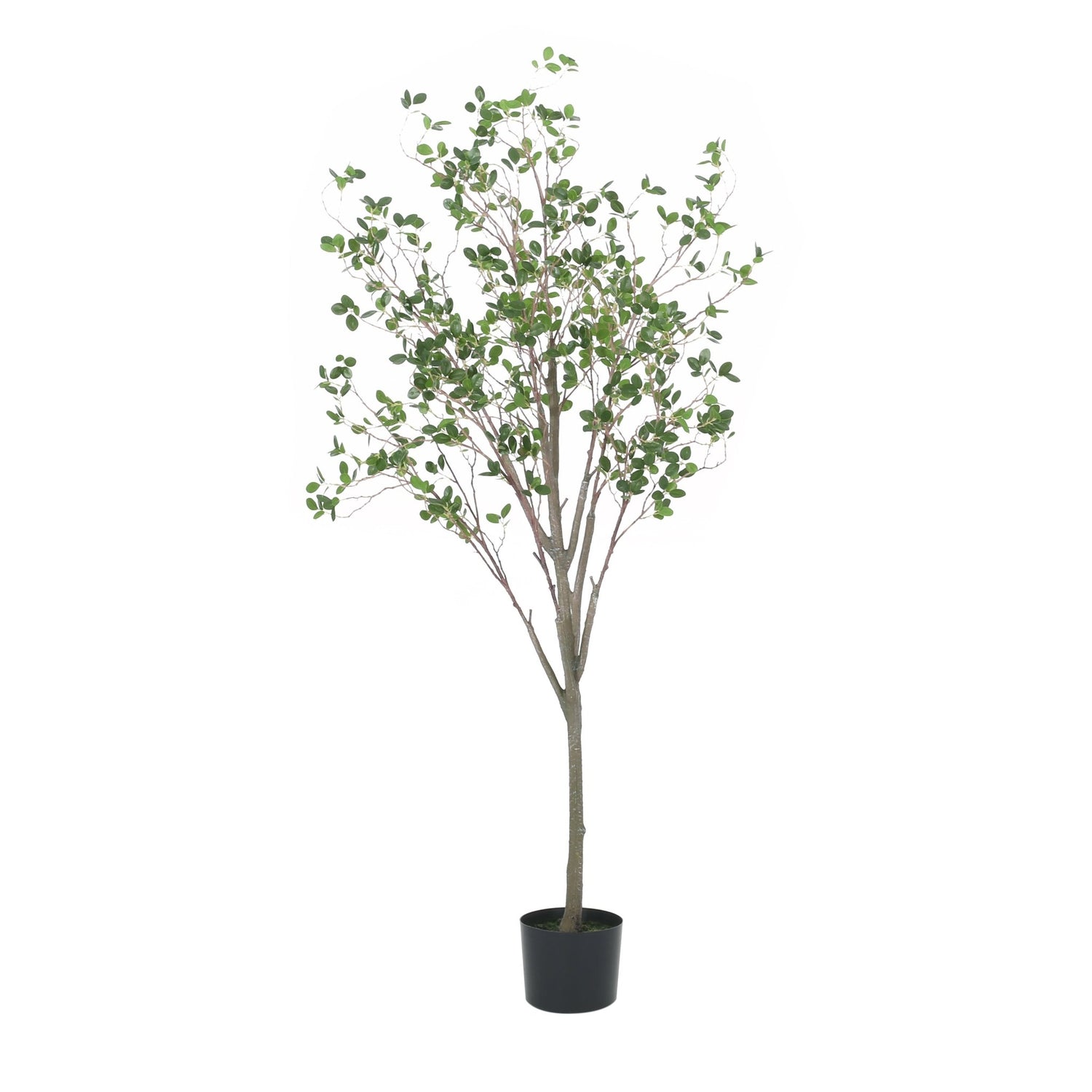 150CM ARTIFICIAL MILAN LEAF BONSAI - Tuesday Morning - Faux Trees