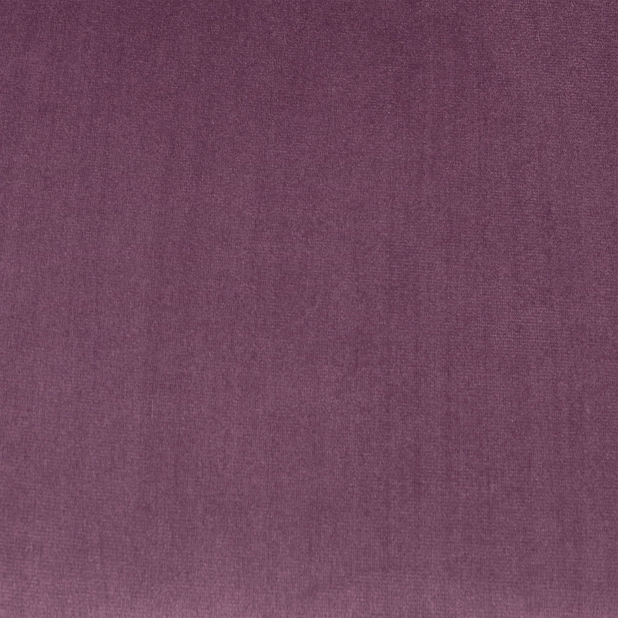 Elegant Curved Armrest Accent Armchair