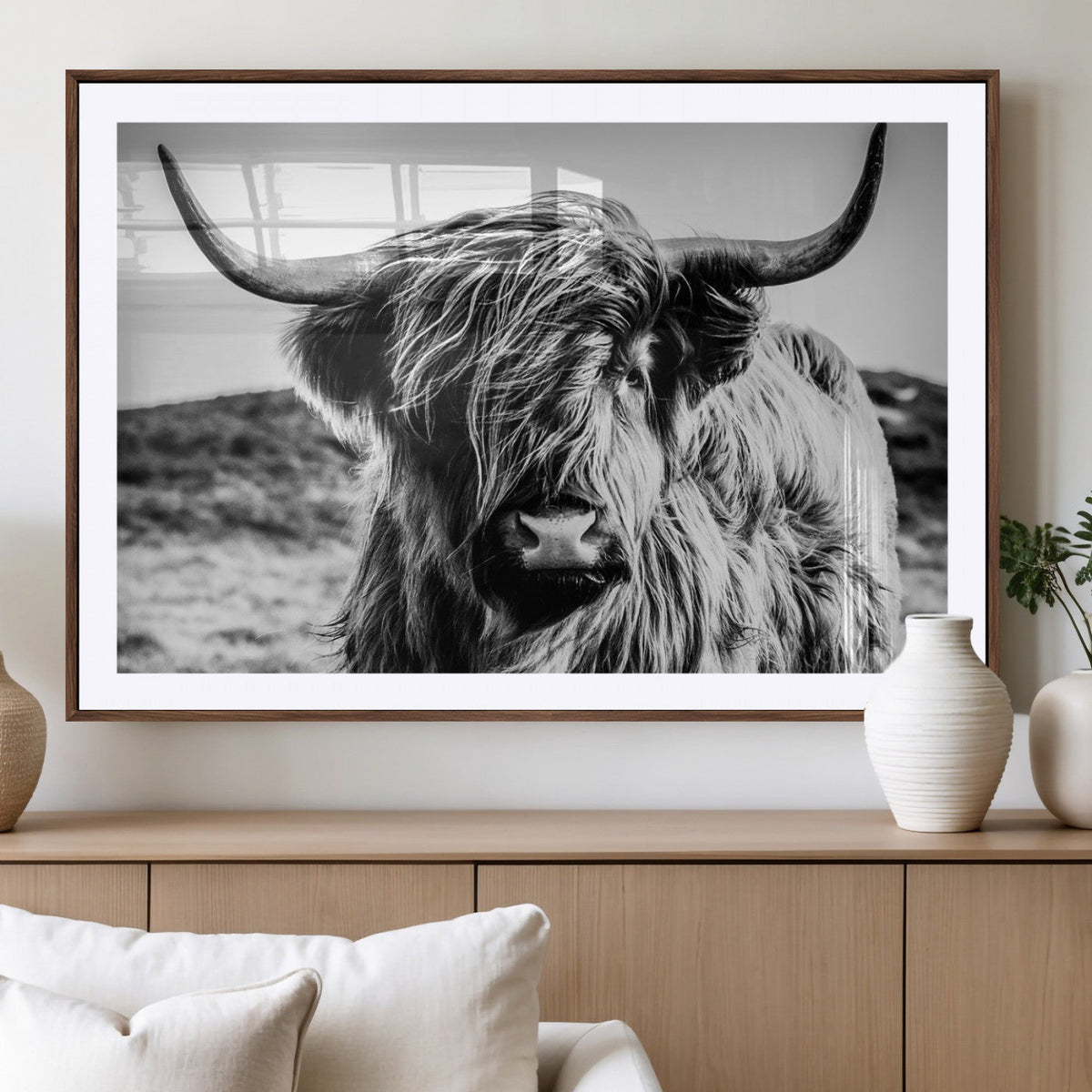 Black and White Scottish Cow Canvas Wall Art Highland Cattle
