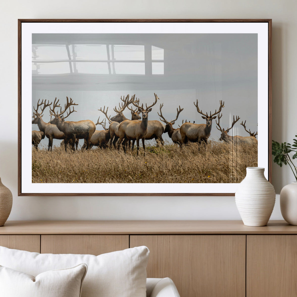 Elk Herd Wall Art Canvas Print – Framed Wildlife Photography