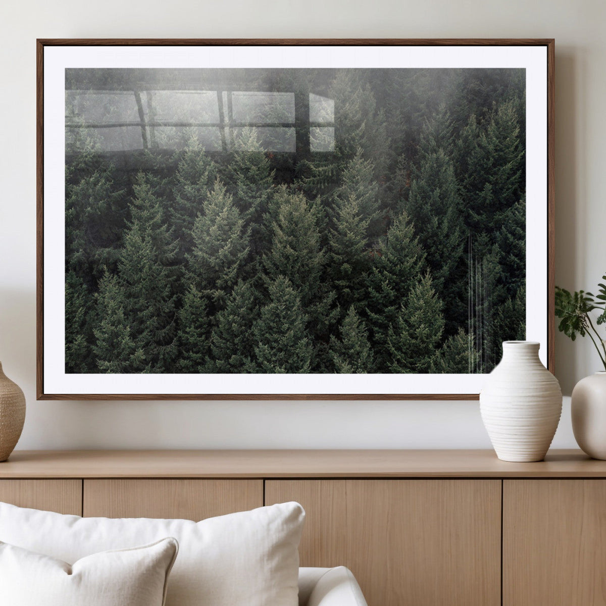 Dense Evergreen Forest Misty Morning Fog Pine Trees Woodland