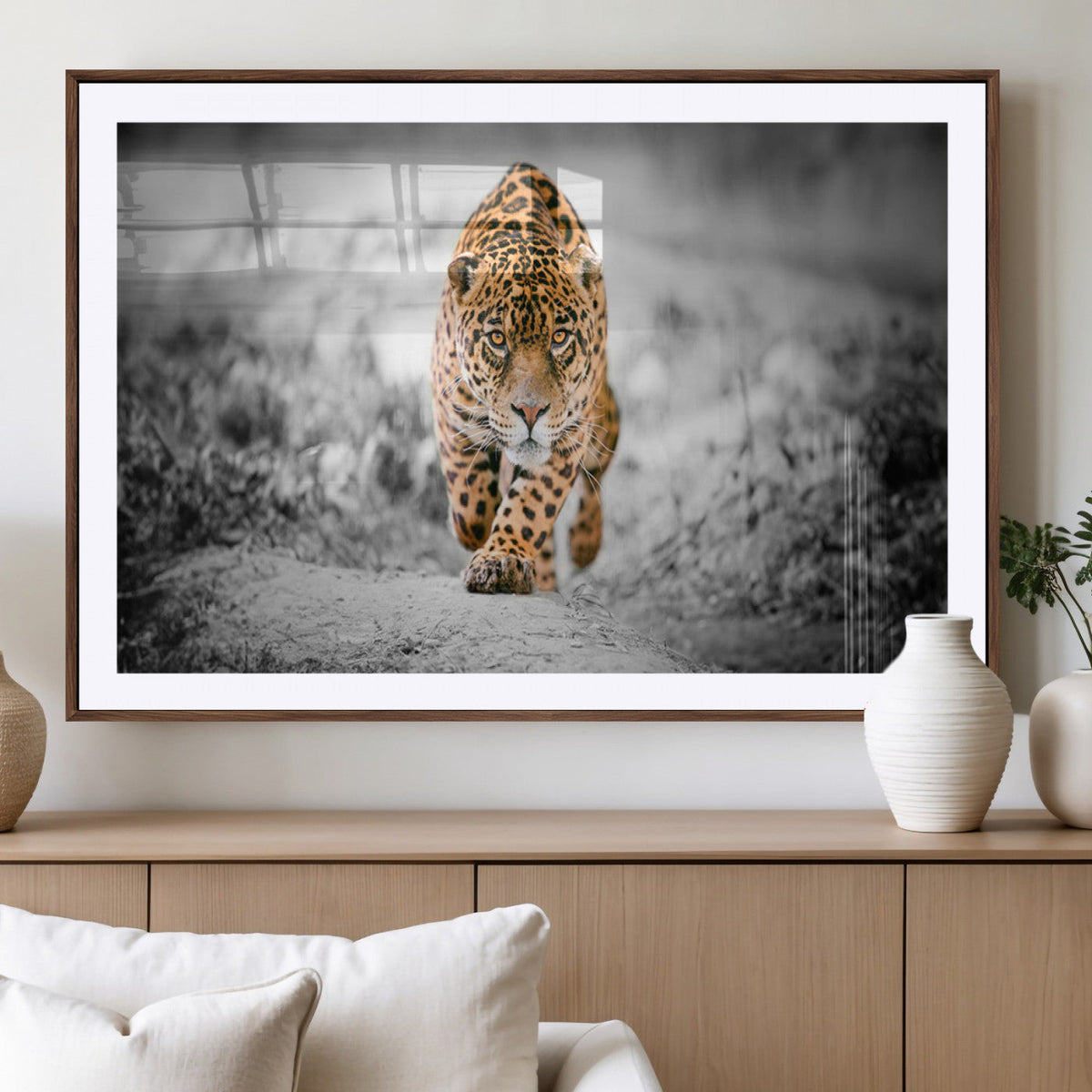 Jaguar Wall Art Canvas Print - Majestic Big Cat in Focused