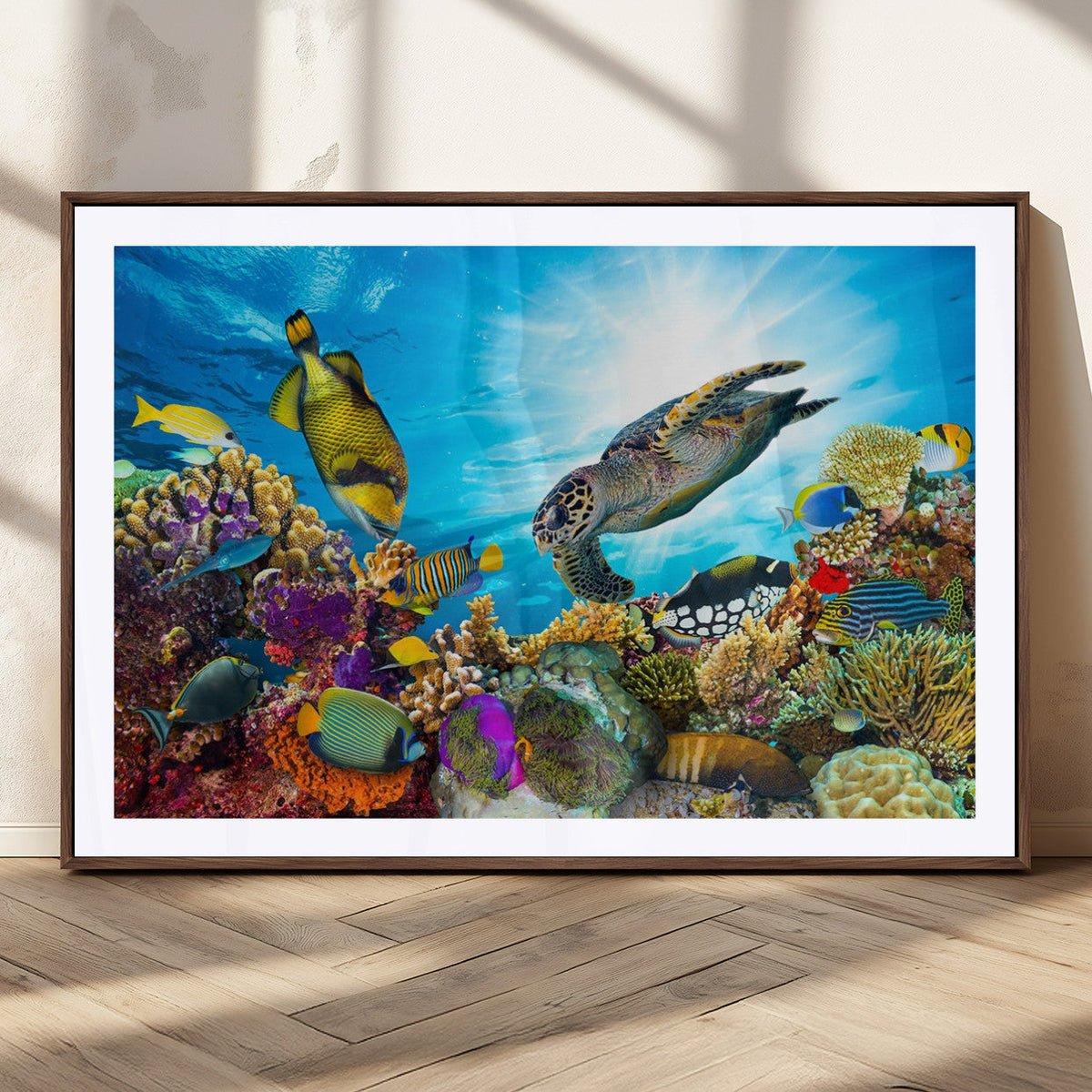 Aquatic Life Sea Turtles Fish Wall Art Canvas Print
