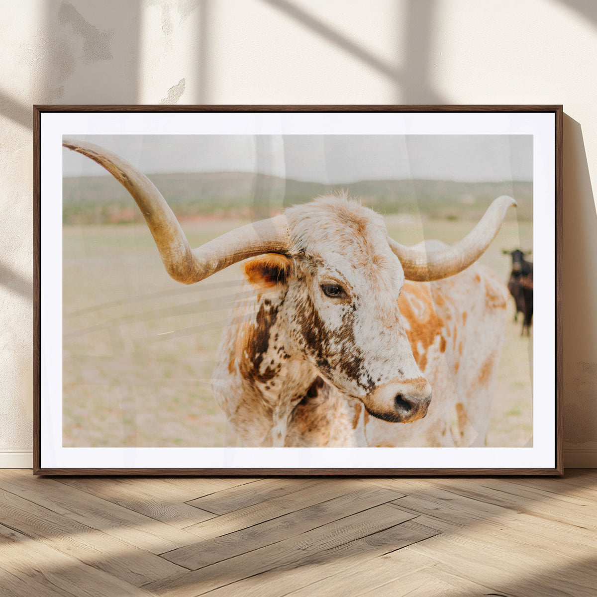 Texas Longhorn Wall Art Canvas Print – Framed Spotted Cow