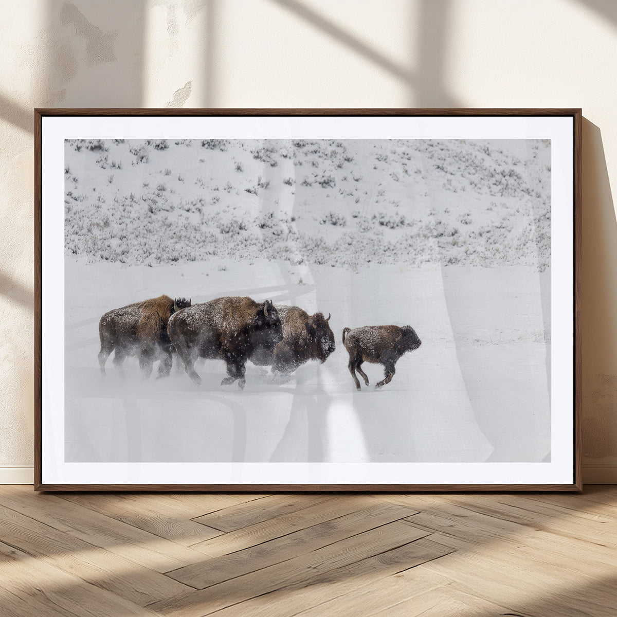 Bison Herd Decor Wall Art Canvas Print – Framed Snowy Bison