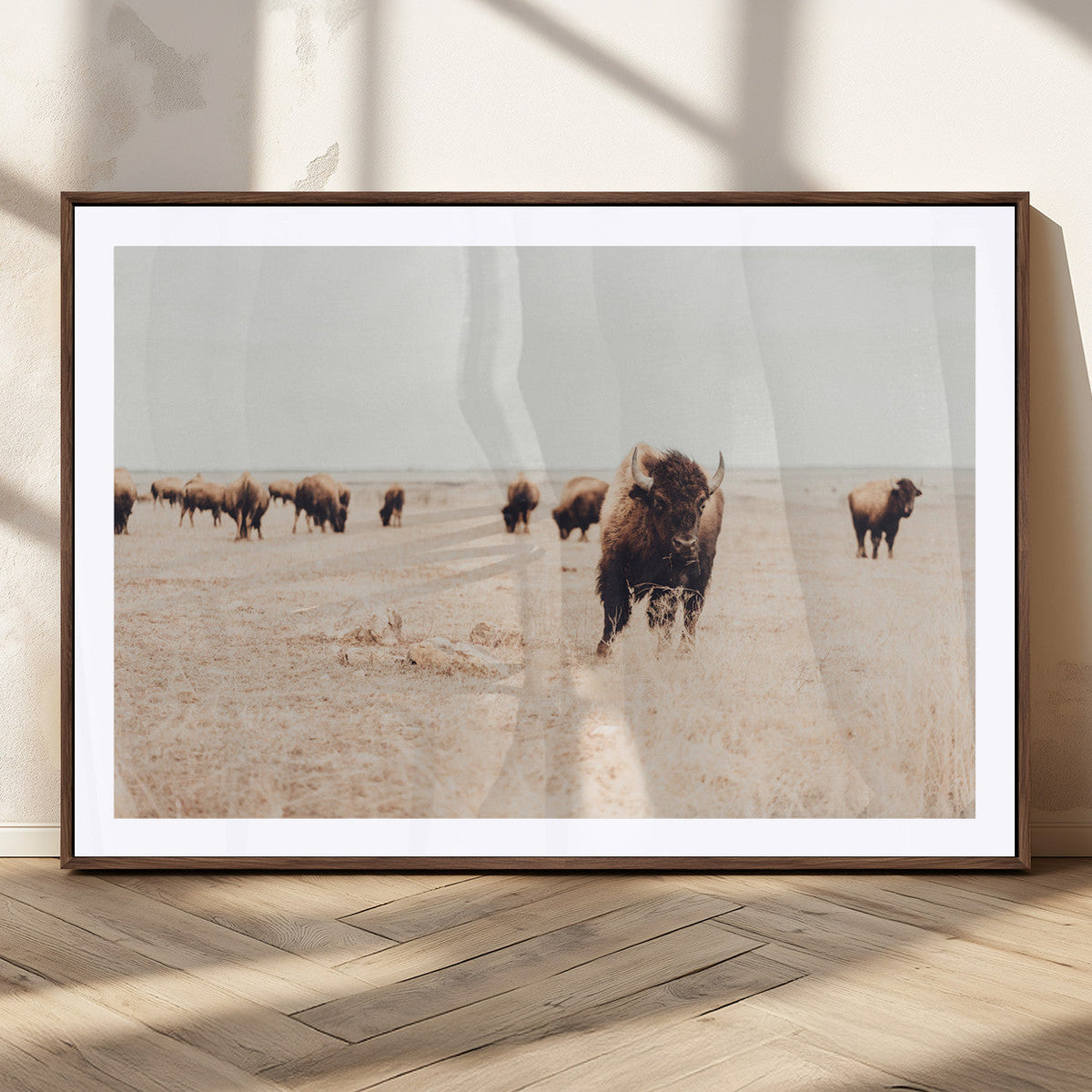 Bison Herd Wall Art Canvas Print, Framed Western Landscape